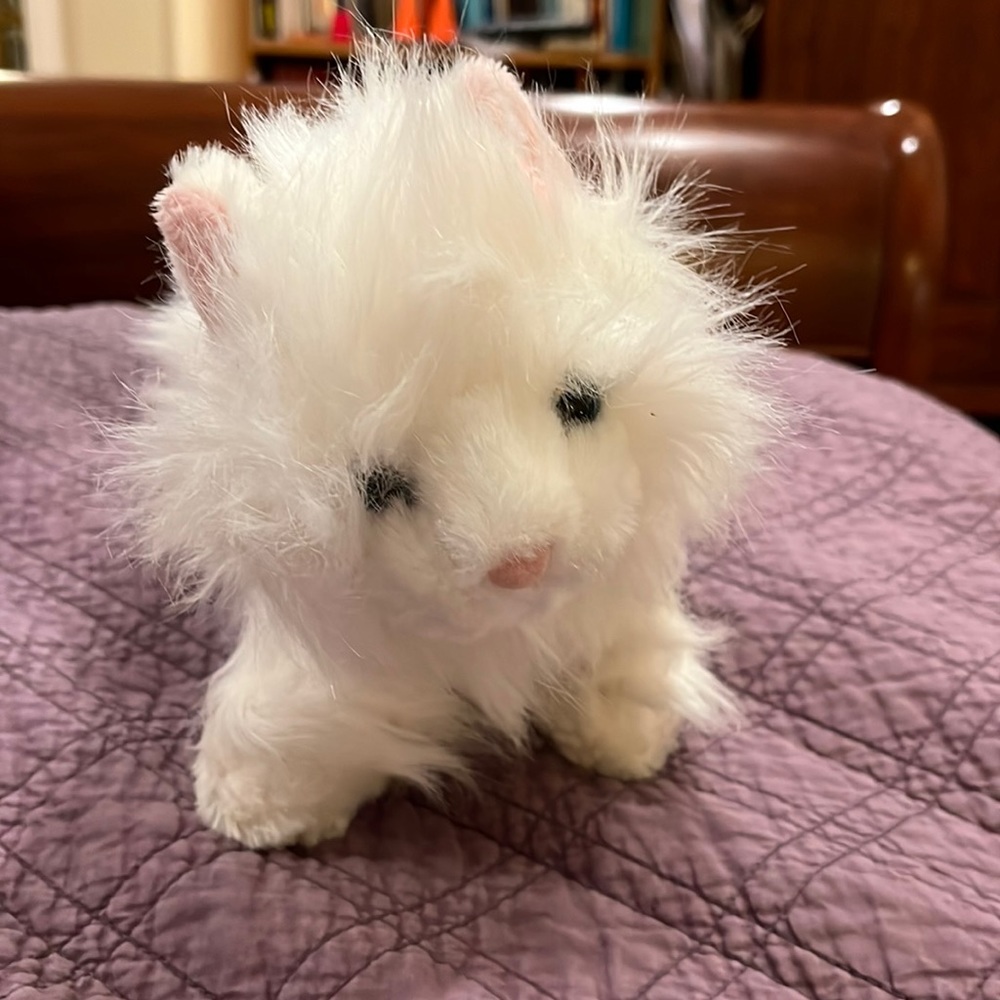 Webkinz Persian Cat